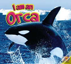 Capa do artigo Orca
