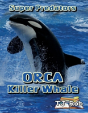Orca Killer Whale - Preview