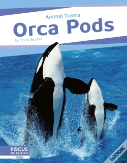 Capa do artigo Orca Pods