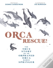 Capa do artigo Orca Rescue!