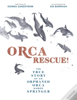 Capa do artigo Orca Rescue!
