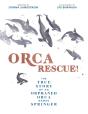 Orca Rescue! - Preview