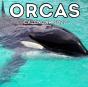 Orcas Calendar 2022 - Preview