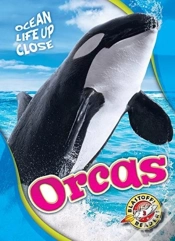 Capa do artigo Orcas