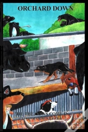 Capa do artigo Orchard Down
