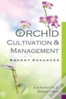 Orchid