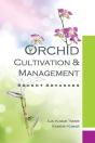 Orchid - Preview
