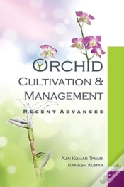 Capa do artigo Orchid