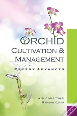 Capa do artigo Orchid