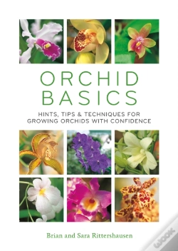 Capa do artigo Orchid Basics