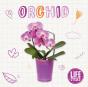 Orchid - Preview