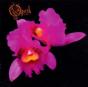 Orchid - CD - Preview
