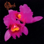 Capa do artigo Orchid - CD