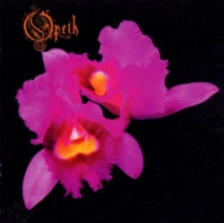 Capa do artigo Orchid - CD