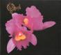 Orchid - CD - Preview