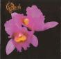 Orchid - CD - Preview