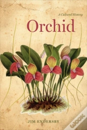 Capa do artigo Orchid