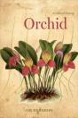 Orchid - Preview