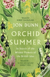 Capa do artigo Orchid Summer