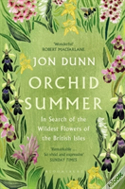 Capa do artigo Orchid Summer