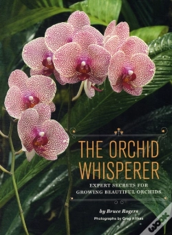 Capa do artigo Orchid Whisperer