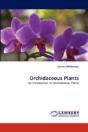 Orchidaceous Plants - Preview