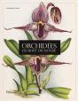 Orchidees Du Bout Du Monde - Preview
