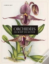 Orchidees Du Bout Du Monde