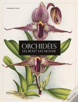 Capa do artigo Orchidees Du Bout Du Monde