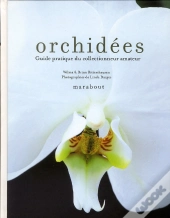 Orchidées ; Guide Pratique Du Collectionneur Amateur