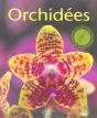 Orchidees - Preview
