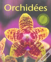Capa do artigo Orchidees