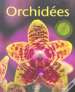 Capa do artigo Orchidees
