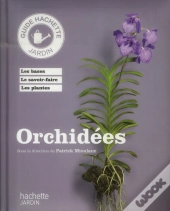 Orchidees
