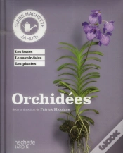 Capa do artigo Orchidees