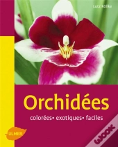 Orchidées