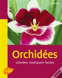 Capa do artigo Orchidées