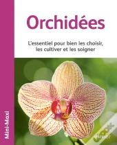 Orchidees