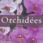 Orchidees - Preview