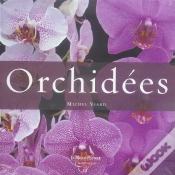 Capa do artigo Orchidees