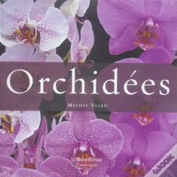 Capa do artigo Orchidees