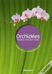 Orchidées