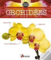 Capa do artigo Orchidées