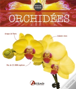 Capa do artigo Orchidées