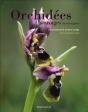 Orchidees Sauvages De Nos Regions - Preview