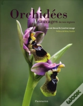 Orchidees Sauvages De Nos Regions