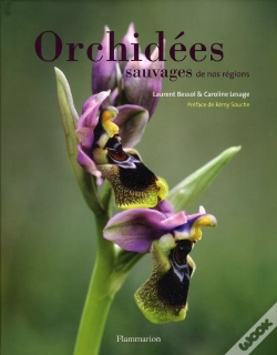 Capa do artigo Orchidees Sauvages De Nos Regions