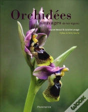 Capa do artigo Orchidees Sauvages De Nos Regions