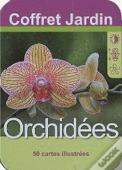 Capa do artigo Orchidees