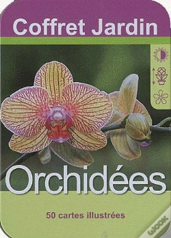 Capa do artigo Orchidees